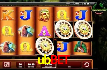 A Experiência Imersiva dos Cassinos Ao Vivo no ubbet
